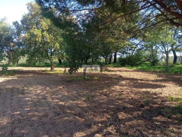 Quinta T1 para Venda em Lagos (São Sebastião e Santa Maria)