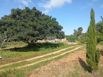 Quinta T1 para Venda em Lagos (São Sebastião e Santa Maria)