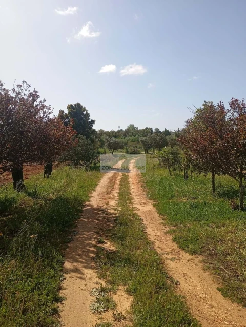 Quinta T1 para Venda em Lagos (São Sebastião e Santa Maria)