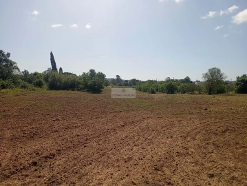 Quinta T1 para Venda em Lagos (São Sebastião e Santa Maria)