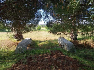 Quinta T1 para Venda em Lagos (São Sebastião e Santa Maria)