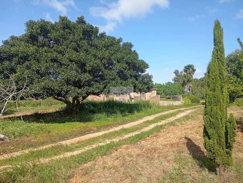 Quinta T1 para Venda em Lagos (São Sebastião e Santa Maria) Foto 39
