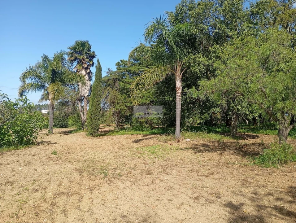 Quinta T1 para Venda em Lagos (São Sebastião e Santa Maria) Foto 41