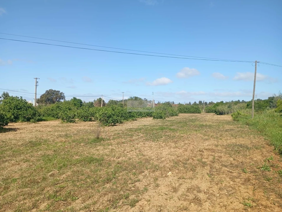 Quinta T1 para Venda em Lagos (São Sebastião e Santa Maria) Foto 37