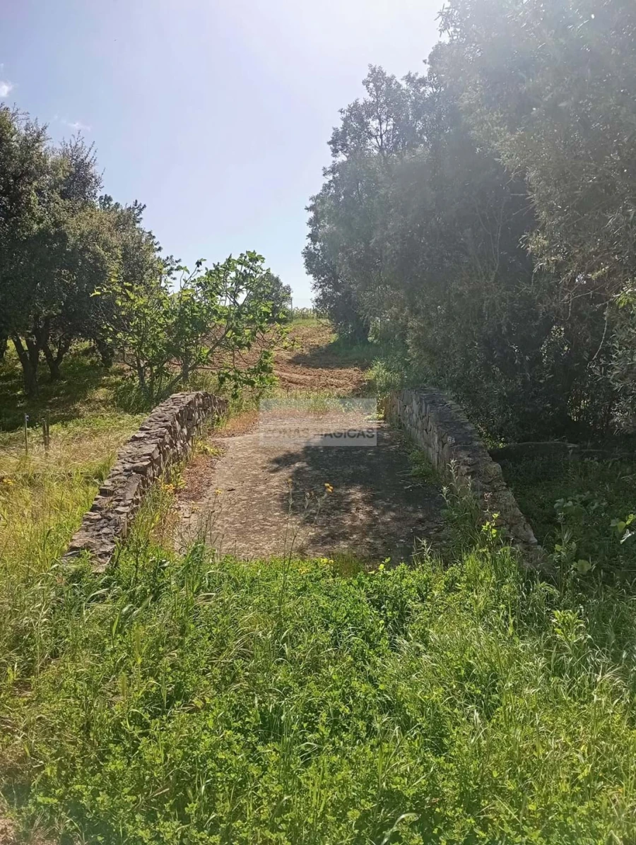 Quinta T1 para Venda em Lagos (São Sebastião e Santa Maria) Foto 24