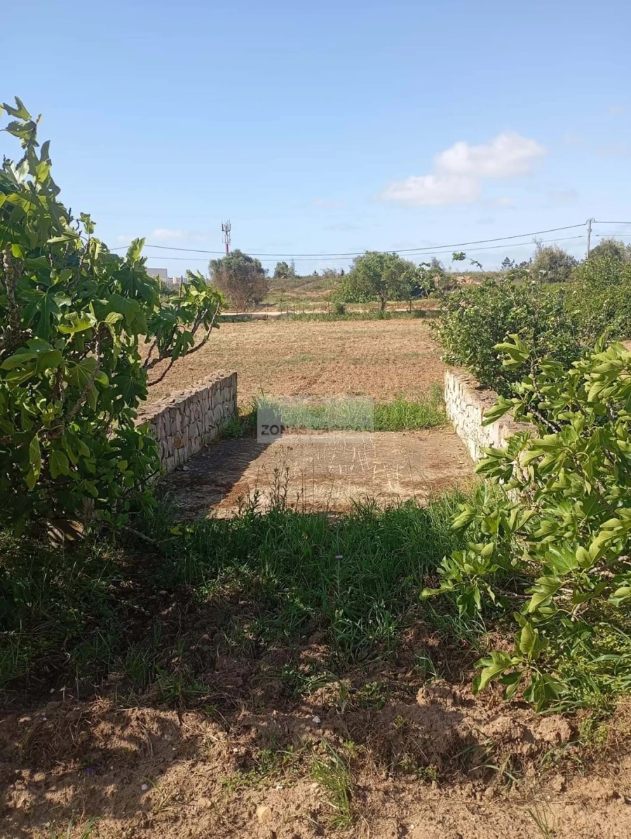 Quinta T1 para Venda em Lagos (São Sebastião e Santa Maria) Foto 42