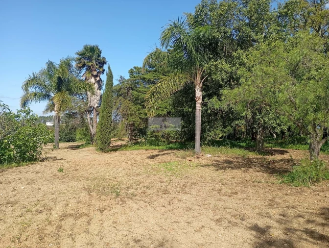 Quinta T1 para Venda em Lagos (São Sebastião e Santa Maria) Foto 41