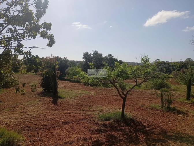 Quinta T1 para Venda em Lagos (São Sebastião e Santa Maria) Foto 30