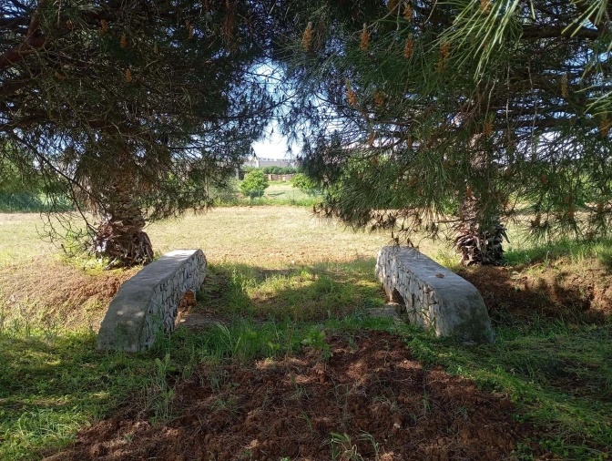 Quinta T1 para Venda em Lagos (São Sebastião e Santa Maria) Foto 35