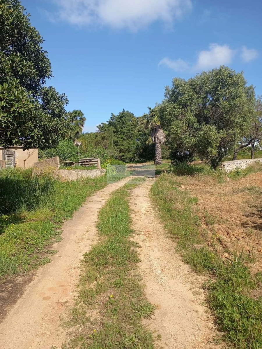 Quinta T1 para Venda em Lagos (São Sebastião e Santa Maria) Foto 40