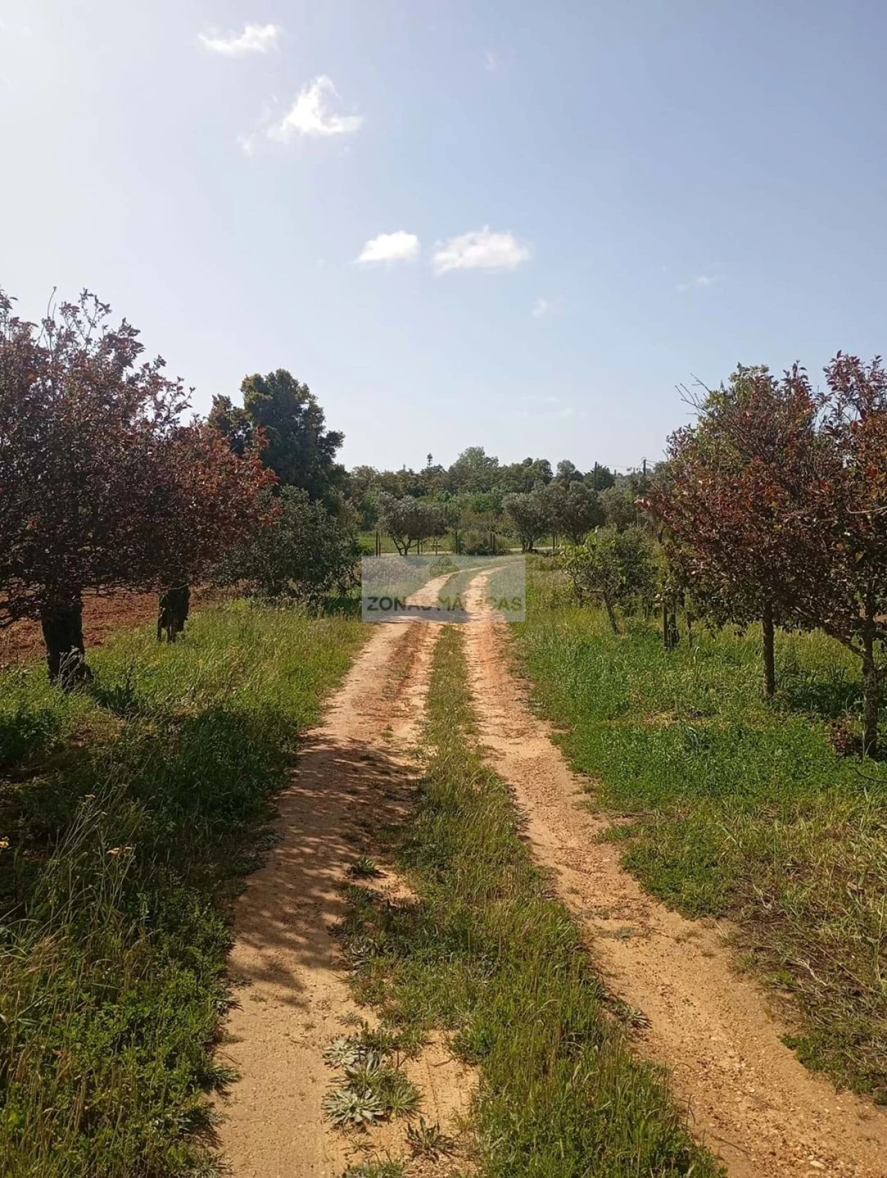 Quinta T1 para Venda em Lagos (São Sebastião e Santa Maria) Foto 38
