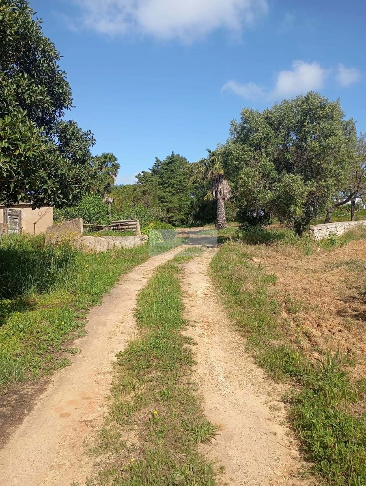 Quinta T1 para Venda em Lagos (São Sebastião e Santa Maria) Foto 40