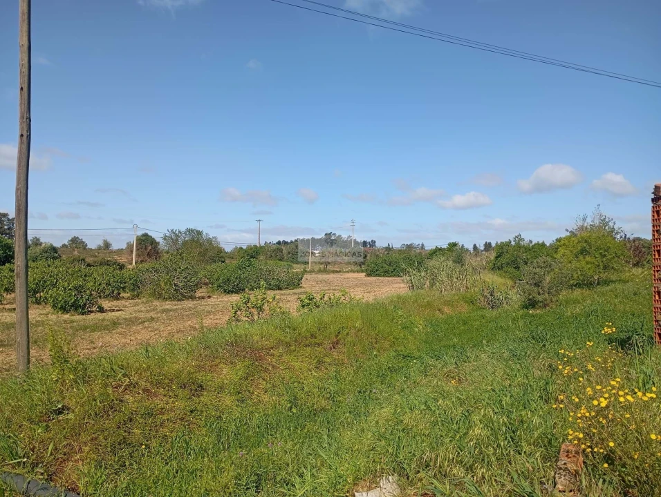 Quinta T1 para Venda em Lagos (São Sebastião e Santa Maria) Foto 36