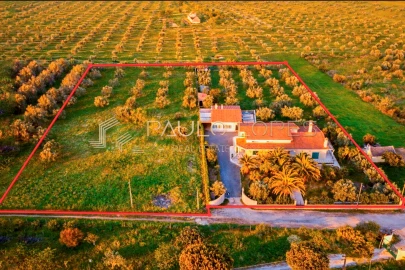 Moradia T7 para Venda em Cartaxo e Vale da Pinta