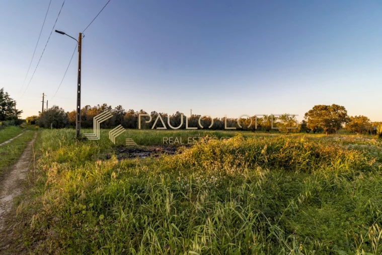 Moradia T7 para Venda em Cartaxo e Vale da Pinta Foto 52