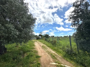 Terreno para Venda em Ferreiras