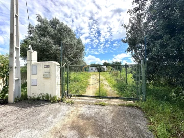 Terreno para Venda em Ferreiras