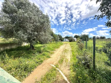 Terreno para Venda em Ferreiras