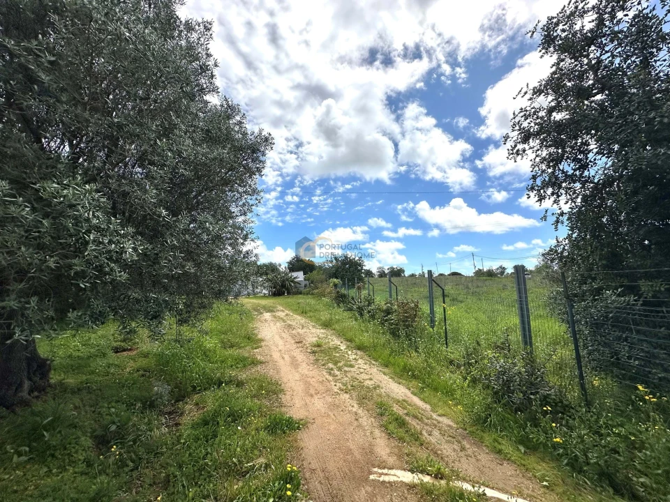 Terreno para Venda em Ferreiras Foto 3