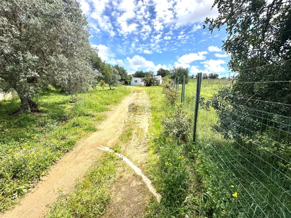 Terreno para Venda em Ferreiras Foto 4