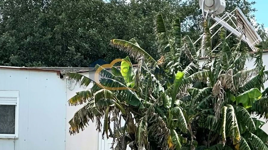 Terreno para Venda em Ferreiras