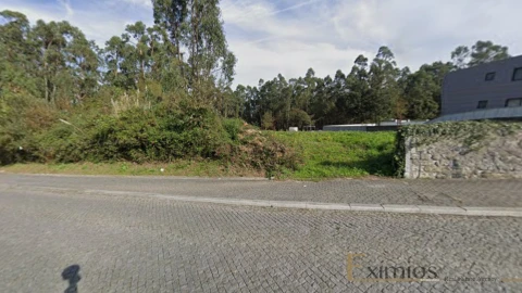 Terreno para Venda em Arvore