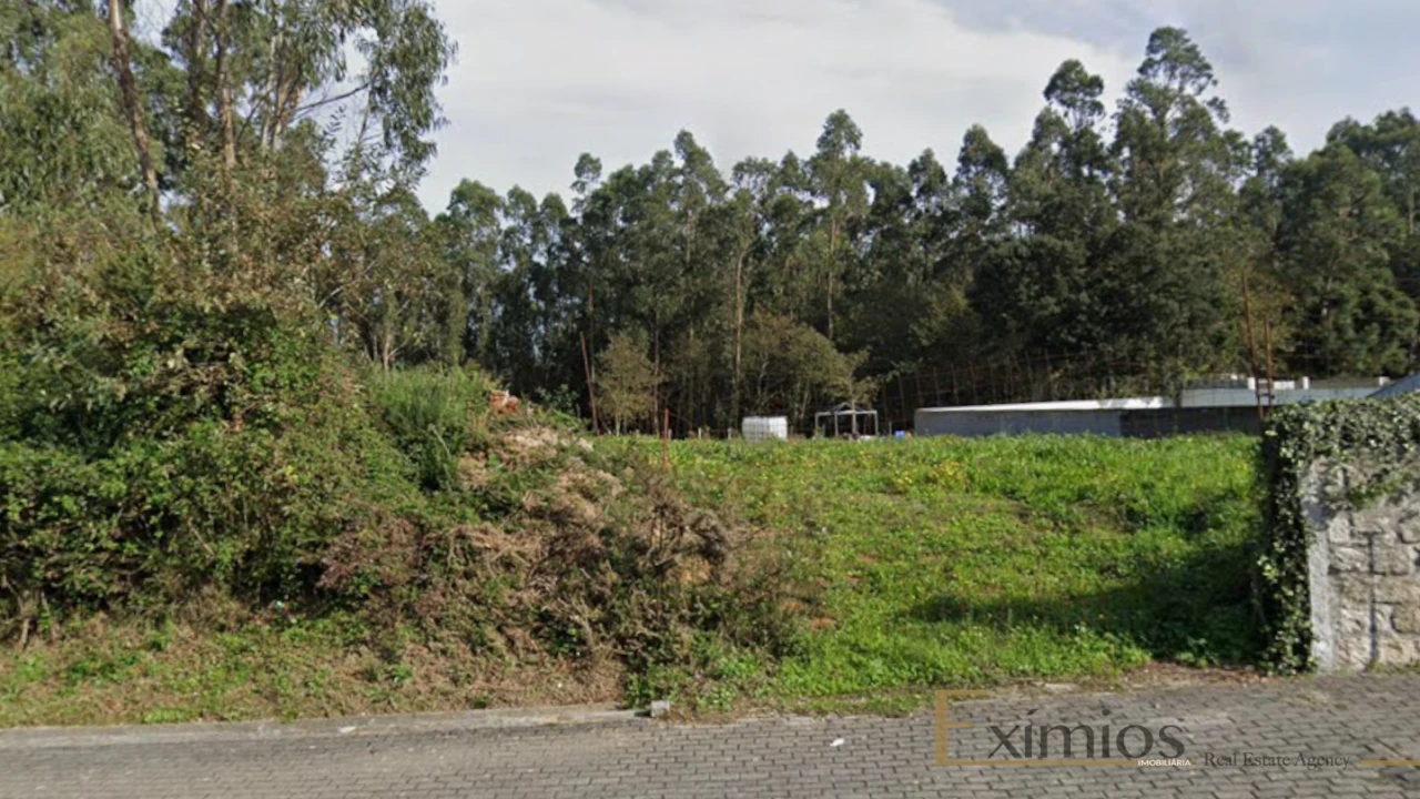 Terreno para Venda em Arvore Foto 1