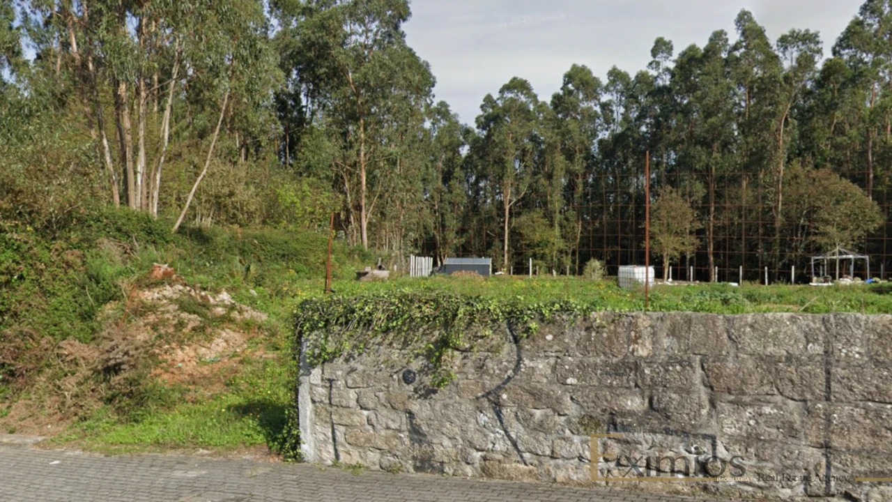 Terreno para Venda em Arvore Foto 2