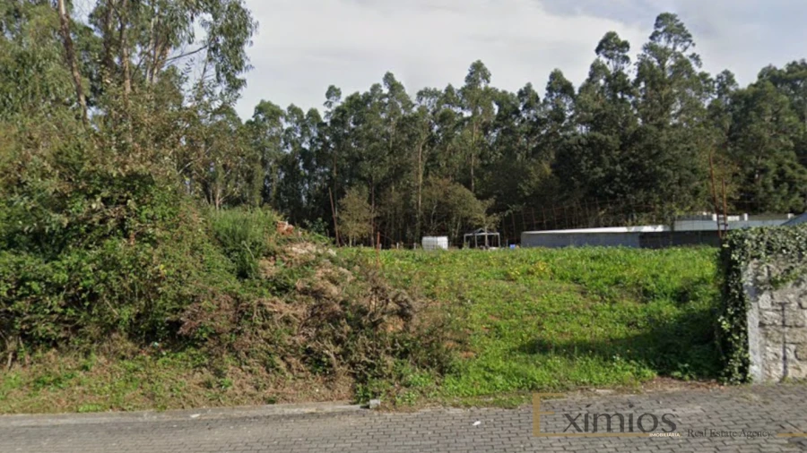 Terreno para Venda em Arvore