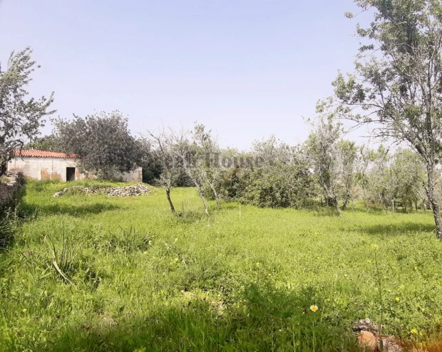 Terreno para Venda em Paderne Foto 1