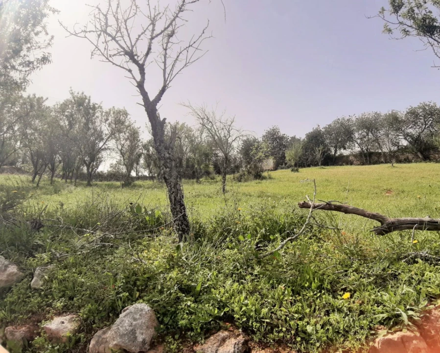 Terreno para Venda em Paderne Foto 9