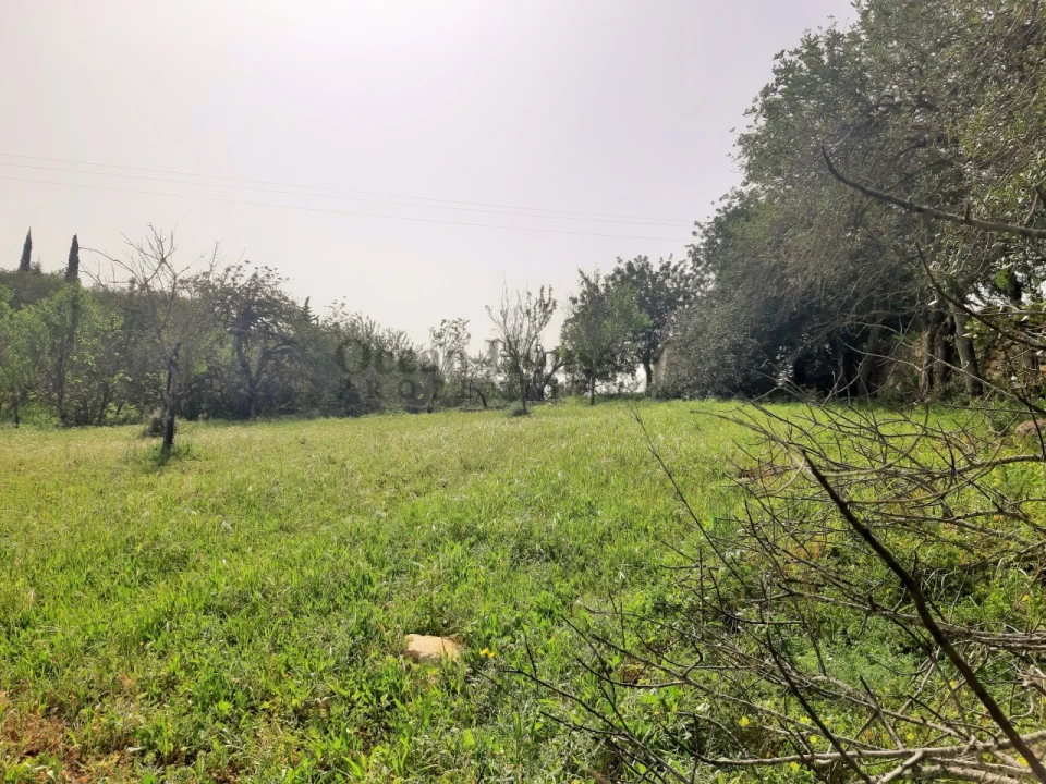 Terreno para Venda em Paderne Foto 6