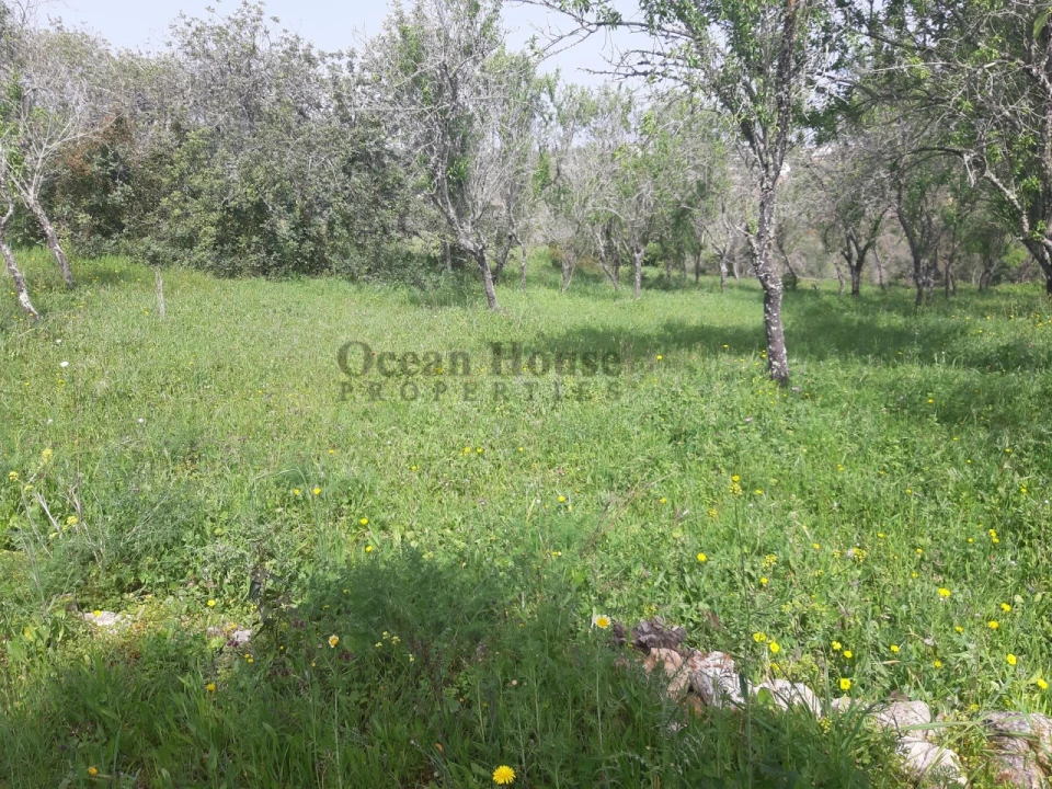 Terreno para Venda em Paderne Foto 10