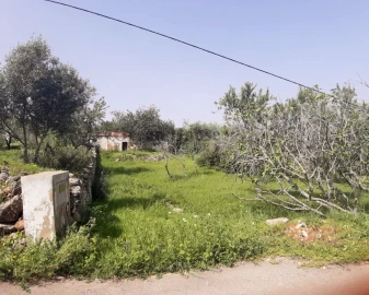 Terreno para Venda em Paderne