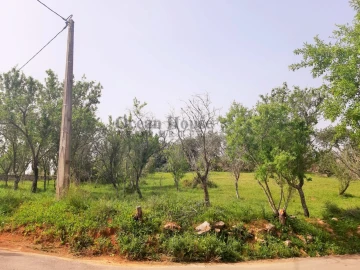 Terreno para Venda em Paderne