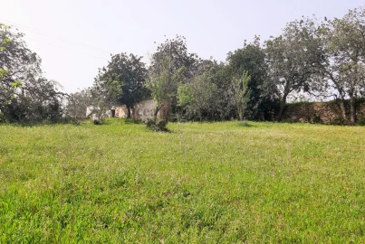 Terreno para Venda em Paderne