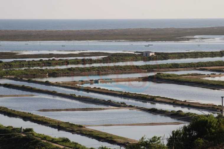 Apartamento T2 para Venda em Moncarapacho e Fuseta Foto 21