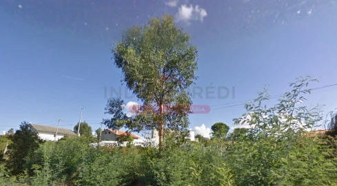 Terreno para Venda em Covas e Vila Nova de Oliveirinha