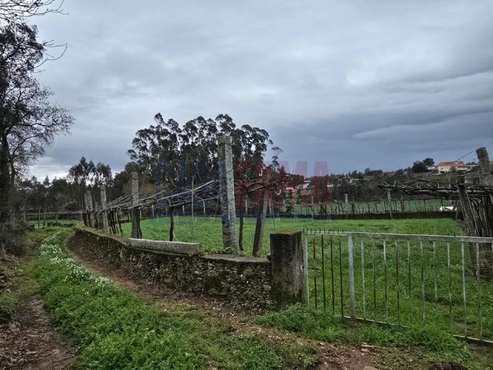 Terreno para Venda em Fradelos Foto 2