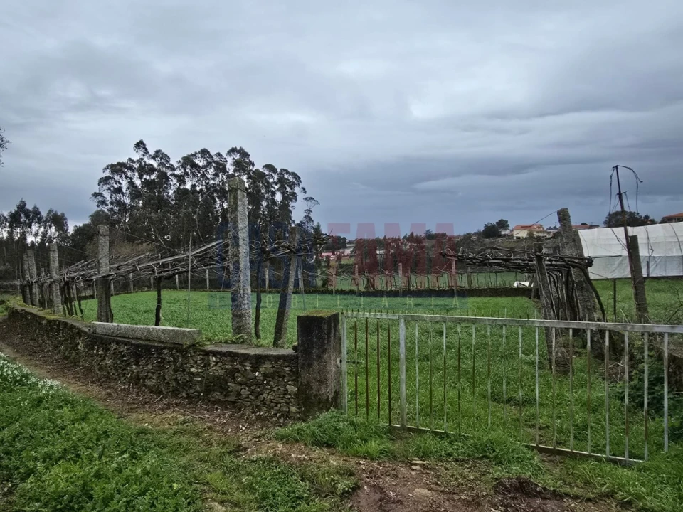 Terreno para Venda em Fradelos Foto 3
