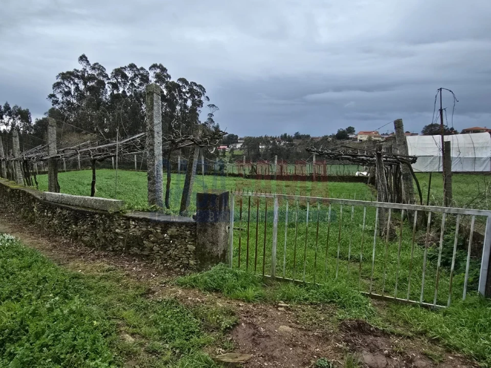 Terreno para Venda em Fradelos Foto 4