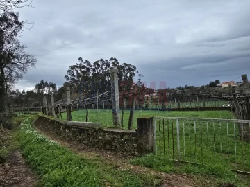 Terreno para Venda em Fradelos