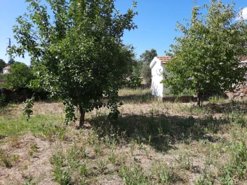 Moradia T1 para Arrendamento em Cerdeira