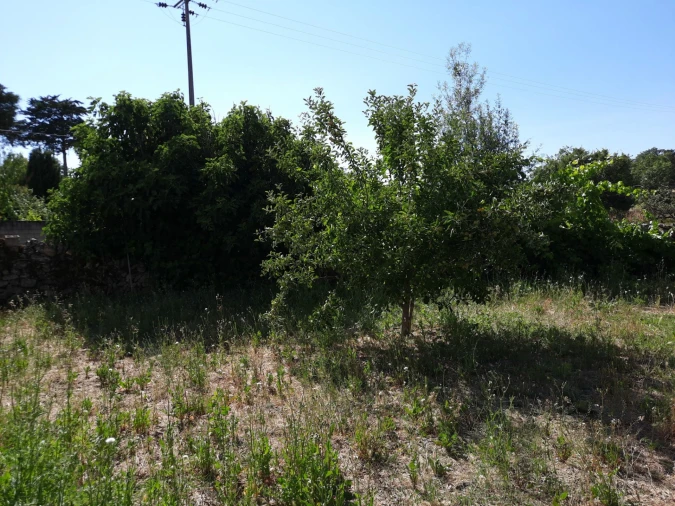 Moradia T1 para Arrendamento em Cerdeira Foto 45