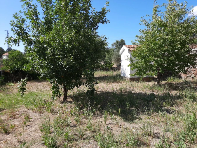 Moradia T1 para Arrendamento em Cerdeira Foto 43