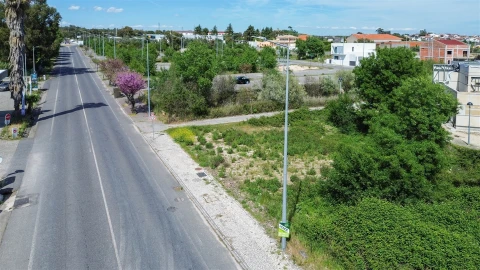 Terreno para Venda em Alcains