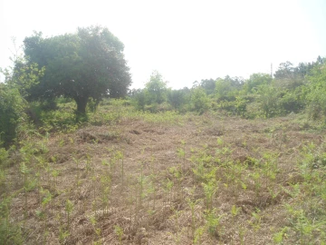 Moradia T0 para Venda em Sapardos