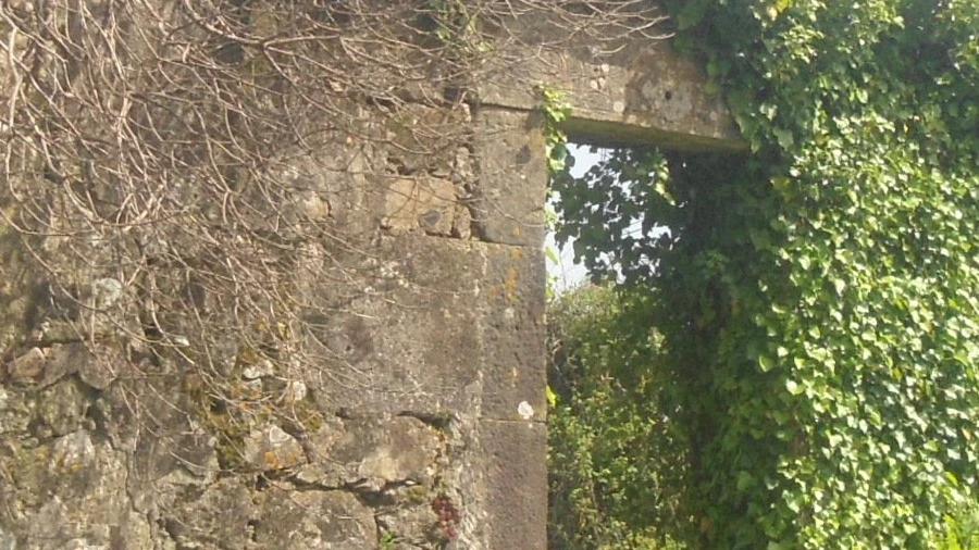 Moradia T0 para Venda em Sapardos