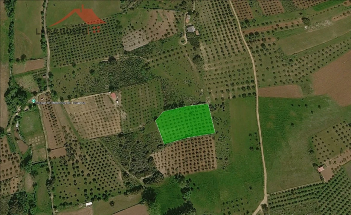 Terreno para Venda em Macedo de Cavaleiros Foto 4