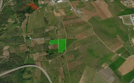 Terreno para Venda em Macedo de Cavaleiros